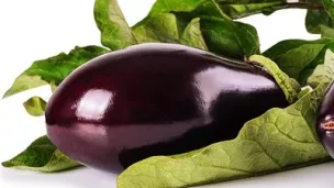 Pixabay -- Aubergine