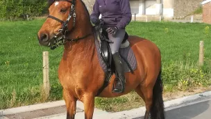 Aurélie Houbiers et son cheval Camaro, tous droits réservés