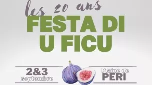 A festa di u Ficu