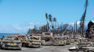  Les incendies qui ont ravagé Hawaï ont fait plus d’une centaine de morts. @ U.S. National Guard /Wikimedia 