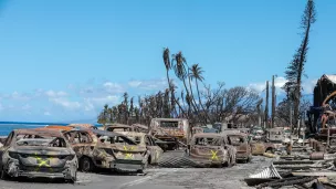  Les incendies qui ont ravagé Hawaï ont fait plus d’une centaine de morts. @ U.S. National Guard /Wikimedia 