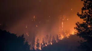 Feu de forêt. ©Unsplash