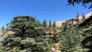 "Une ouverture étonnée à la réalité"©
