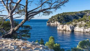 La calanque de Port Pin, Vaufrèges, Marseille, France. ©Unsplash