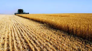  Le bouleversement climatique a un impact économique qui peut freiner de jeunes agriculteurs à reprendre des exploitations, alors qu’aujourd'hui, un agriculteur sur deux a plus de 55 ans. 