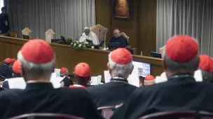Le pape Francois rencontre les cardinaux nouvellement elus dans la salle du synode au Vatican. Photographie de Vatican Mediia / Catholic Press Photo / HANS LUCAS