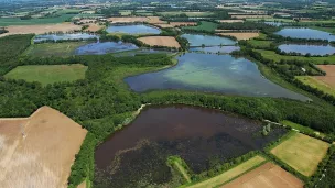 Etangs de Dombes ©CDAin