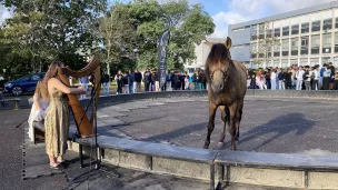 Dans la cour de récréation du collège St Exupéry, un cirque équestre éphémère