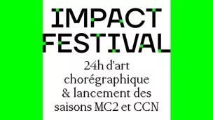 Impact Festival