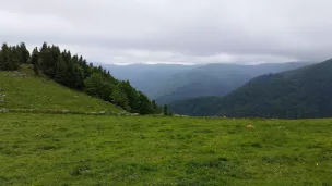 SOS Massif des Vosges souhaiterait atteindre l’objectif zéro voiture sur les Crêtes. 