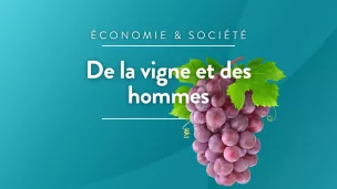 De la vigne et des hommes_RCF17