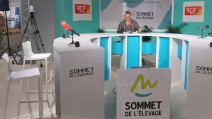 Le plateau de RCF installé au milieu des bovins dans le hall 3 de la Grande halle d'Auvergne pour le Sommet de l'élevage ©RCF