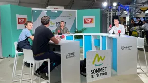 Le plateau de RCF installé au milieu des bovins dans le hall 3 de la Grande halle d'Auvergne pour le Sommet de l'élevage ©RCF