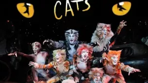 Comédie musicale "Cats"