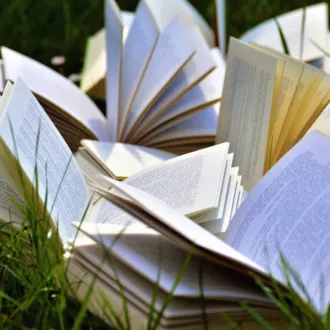 Lecture estivale