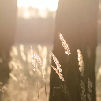 michal-bielejewski-UNSPLASH