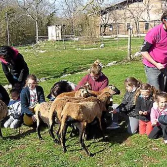 La Dépêche du Midi