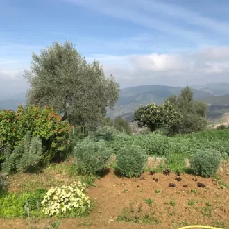 RCF / Véronique Alzieu - Permaculture à la ferme pédagogique en agriculture biologique Kissane