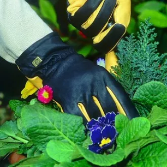 Jardinage
