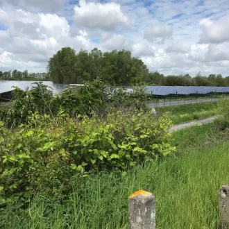 2021 RCF - Les 58 000 panneaux de la centrale solaire d'Oxelaere