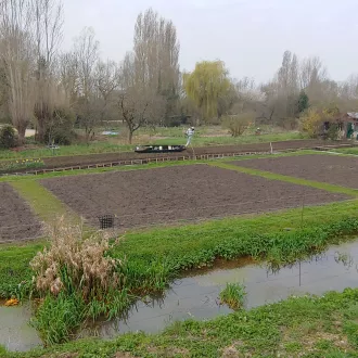 Les marais de Bourges.