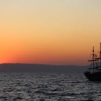 2021 - Photo de Serinus provenant de Pexels