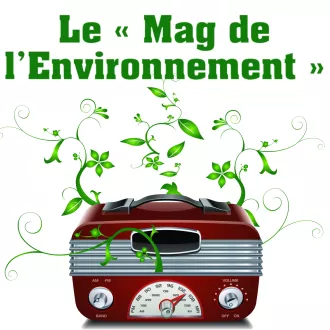 Le Mag de l'environnement