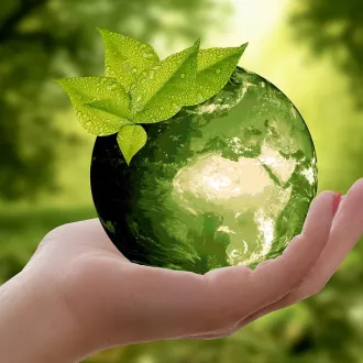 solidarité avec l'environnement et la planète