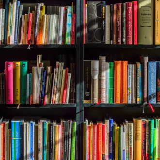 Livres En étagère En Bois Noir- Pixabay