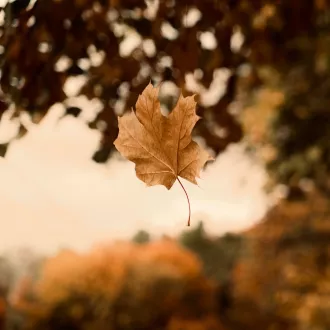 © Unsplash