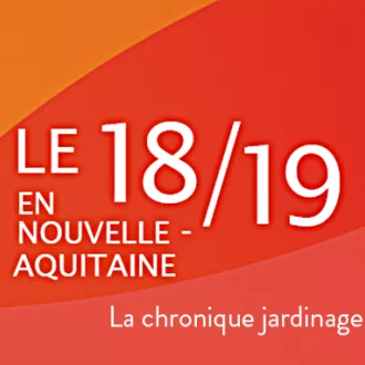 Le 18/19 : la chronique jardinage