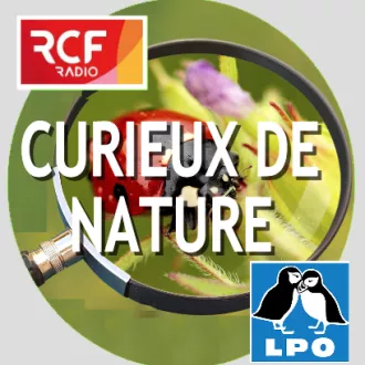 RCF86-Image par LPO(Ligue Protection des Oiseaux)