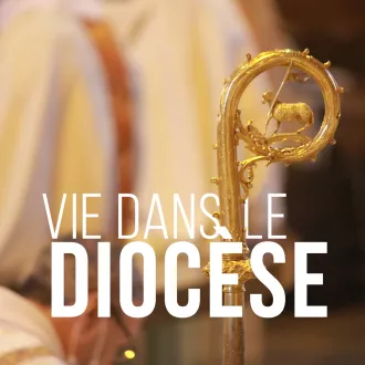 Diocèse luçon