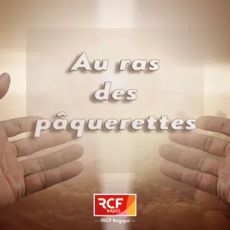 Au ras des pâquerettes
