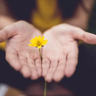 © Image d'illustration - Unsplash.com