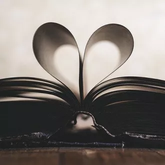 © Image d'illustration - Pixabay.com