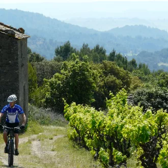 crédit : Terres de Vins