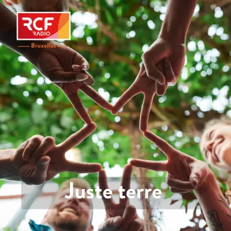 © RCF