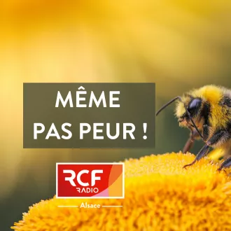 © Pas Peur Alsace