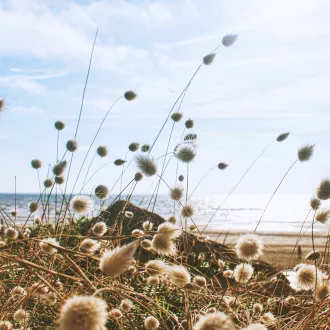 Photo by Valentin on Unsplash