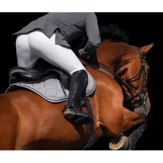 Cheval et jockey