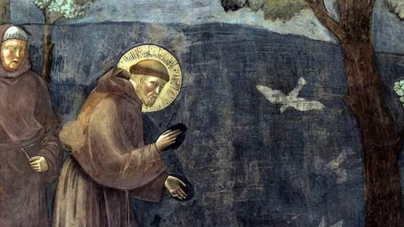 Wikimédia commons - François d'Assise prêchant aux oiseaux (d'après les Fioretti) par Giotto