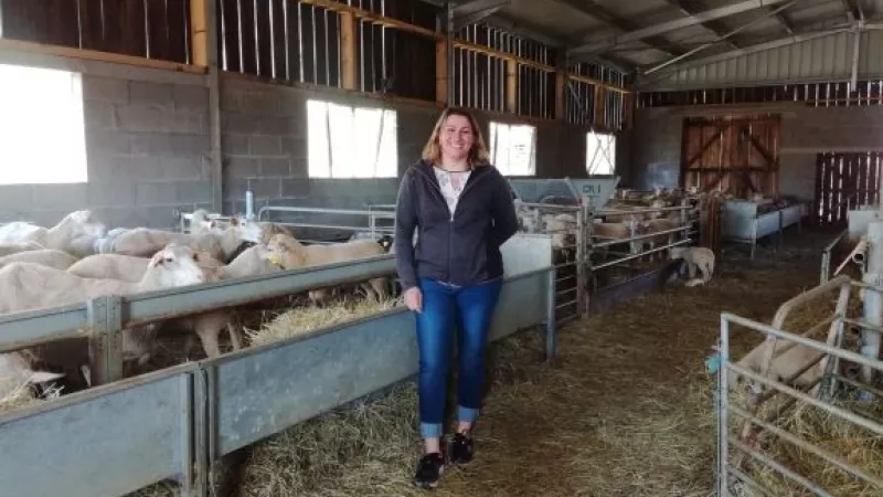 2021-RCF- Pour bénéficier de la marque "Agneau Pays de Savoie", les agneaux doivent être nés en France et engraissés en Pays de Savoie, comme dans l'élevage d'Emeline Savigny.
