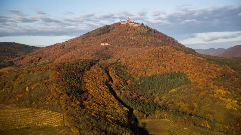 Le château du Haut-Koenigsbourg a été érigé sur un promontoire rocheux à plus de 750 mètres d'altitude...  ©Tristan Vuano - Château du Haut-Koenigsbourg, Alsace, France