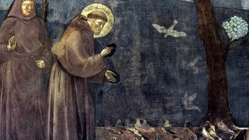 La prêche aux oiseaux, Giotto di Bondone, Basilique supérieure de Saint-François à Assise ©Wikimédia Commons