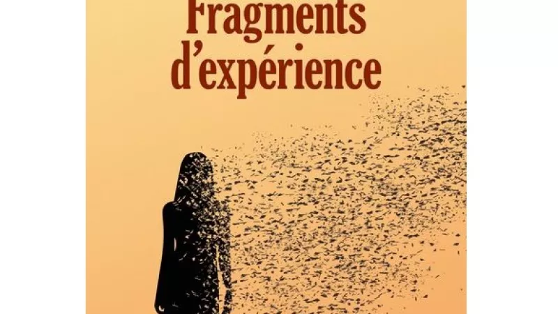 Couverture du livre Fragments d'expérience de Cécile Lenaud, éd Sydney Laurent