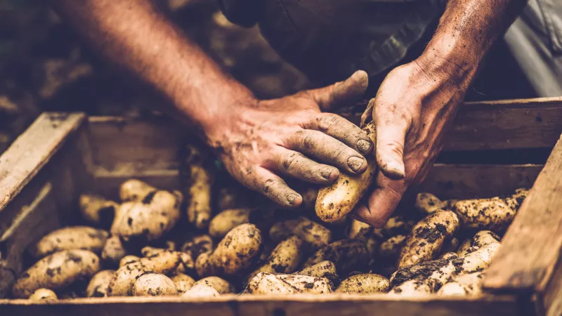 Aider les communes rurales à développer l'agriculture biologique © iStock
