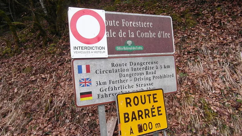 La route forestière de la Combe d'Ire, théâtre de l'horreur le 5 septembre 2012. 