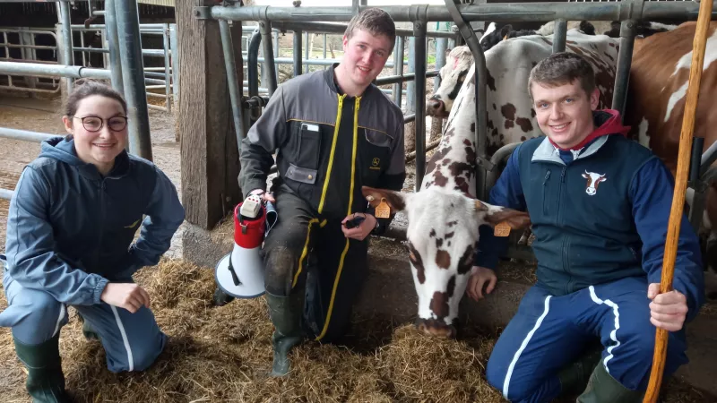 La vache Nephtaline entourée de Chloé, Edouard et Hugo ©RCF Manche