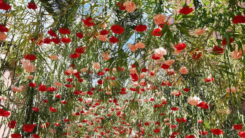 La décoration florale du village - Photo - Fête de l'Oeillet Falicon en fleurs